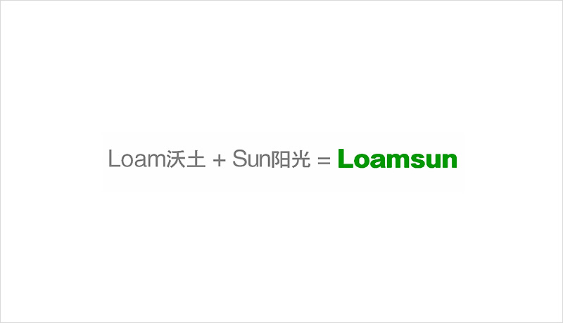 longshengyuan26