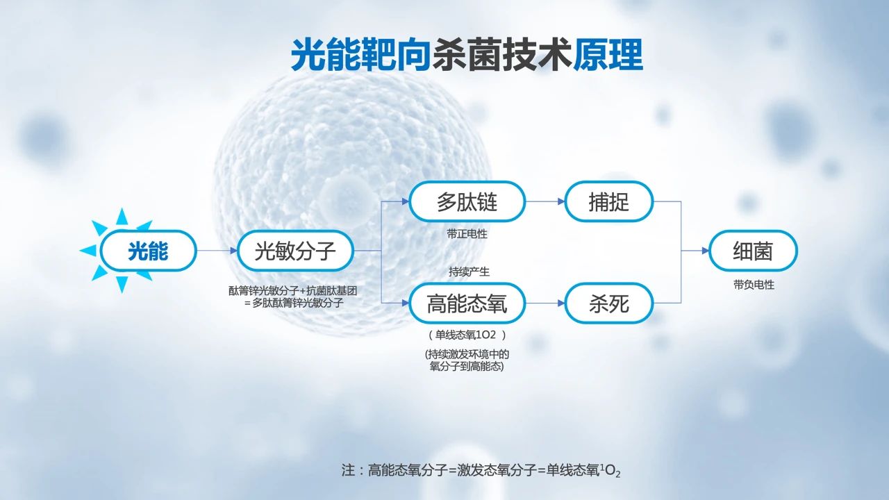 鹿丫丫湿巾品牌战略 - 蓝章定位策划