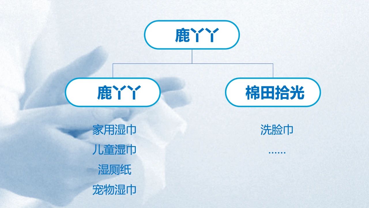 鹿丫丫湿巾品牌战略 - 蓝章定位策划